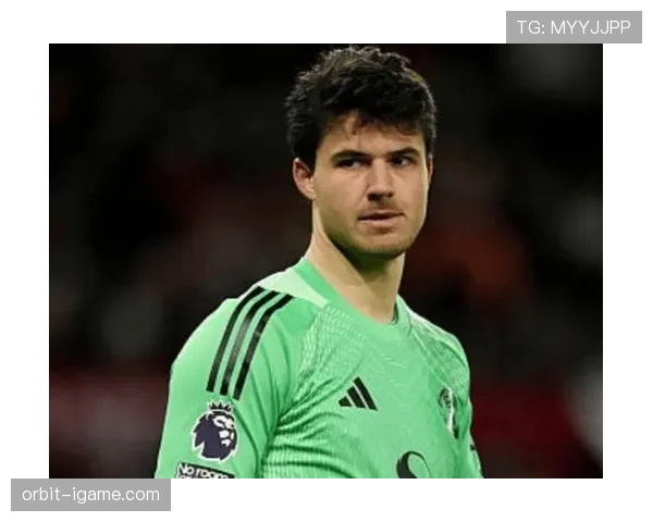 马洛·古斯托在英超赛场表现稳健,备受转会市场关注 马洛·古斯托在英超赛场表现稳健,备受转会市场关注